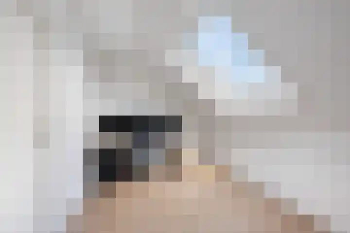De Markies 5 Huissen thumbnail 23