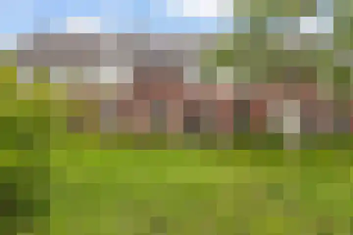 De Markies 5 Huissen thumbnail 29