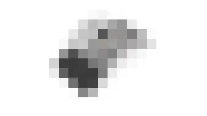 De Markies 5 Huissen thumbnail 40
