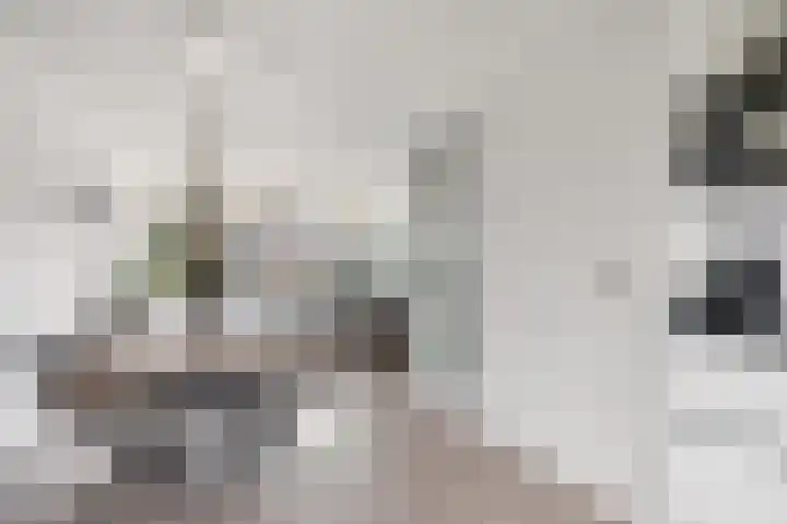 De Markies 5 Huissen thumbnail 5