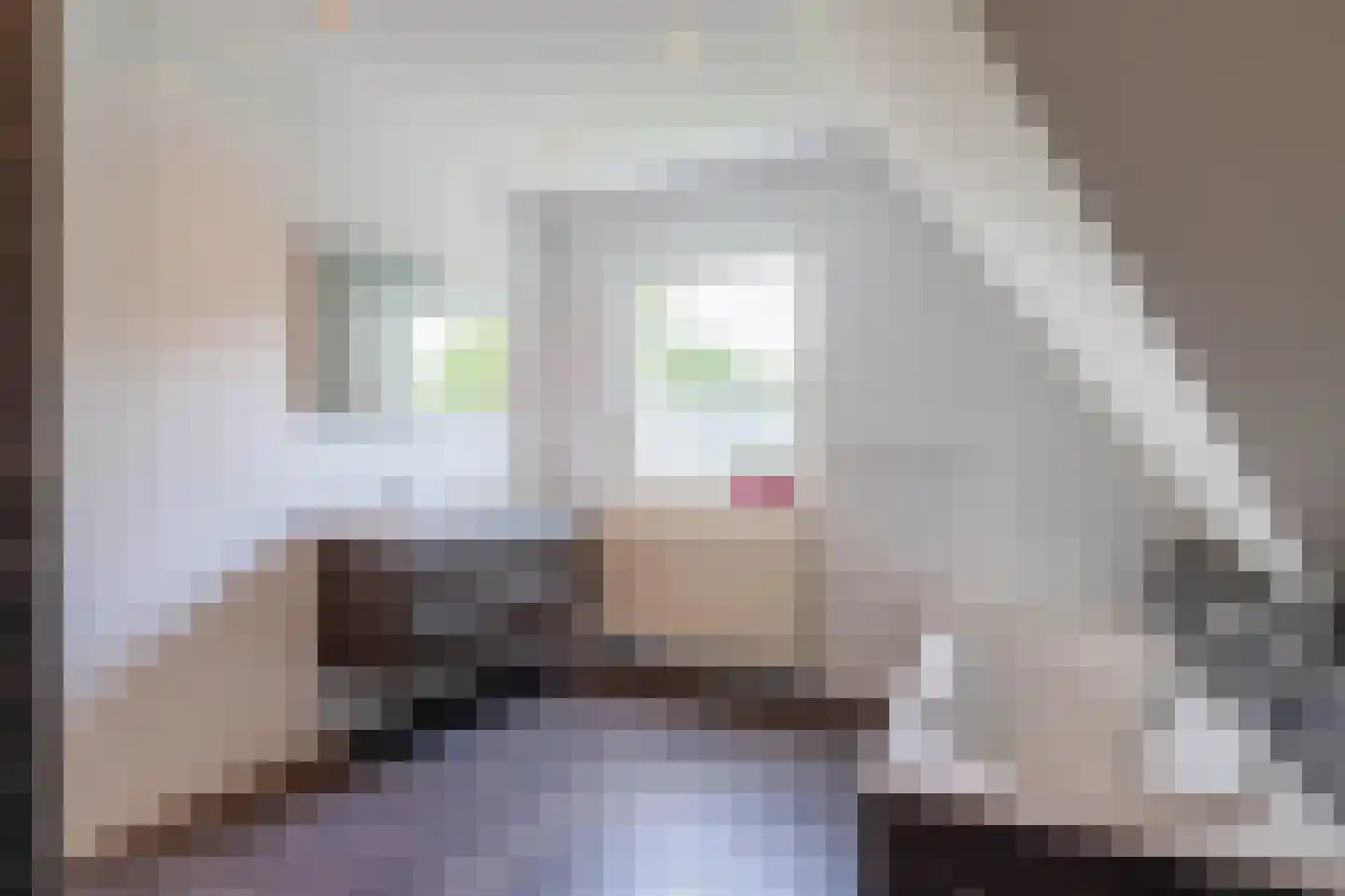 De Markol 5 Joure thumbnail 32