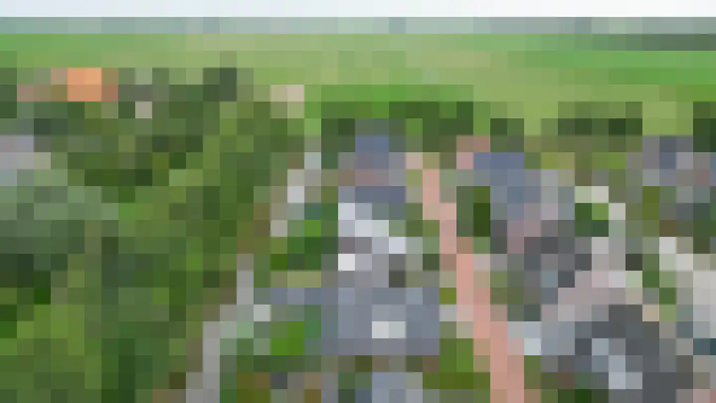 De Markol 5 Joure thumbnail 47