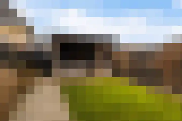 De Markol 5 Leeuwarden thumbnail 19