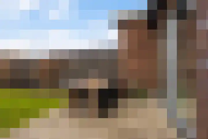 De Markol 5 Leeuwarden thumbnail 21