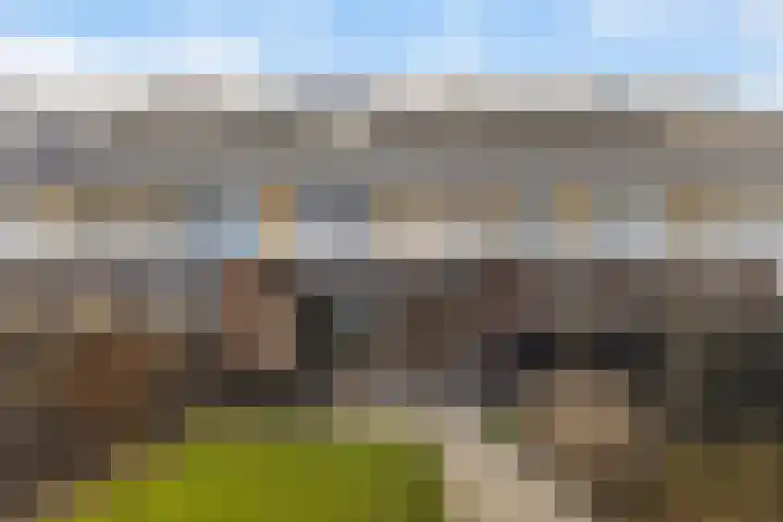 De Markol 5 Leeuwarden thumbnail 22