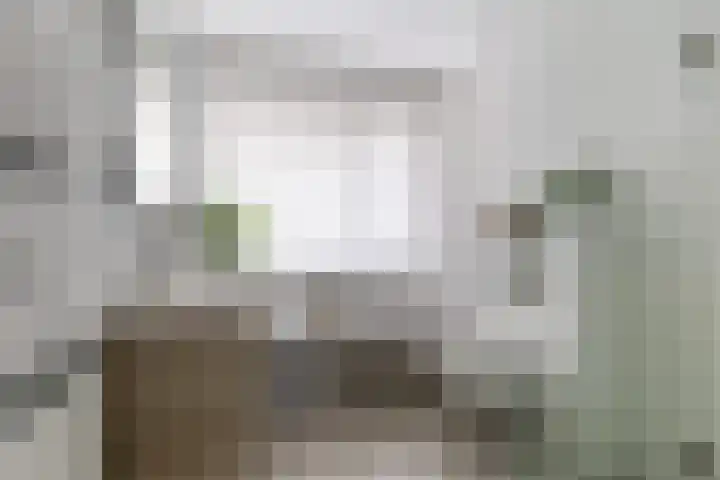 De Markol 5 Leeuwarden thumbnail 26