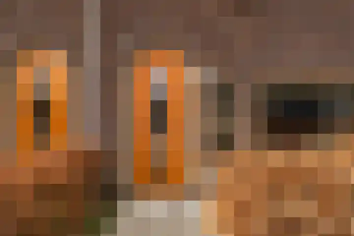 De Markol 5 Leeuwarden thumbnail 6