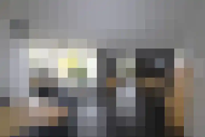 De Markol 7 Bolsward thumbnail 10