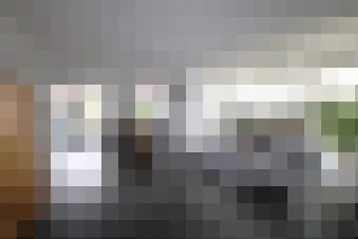 De Markol 7 Bolsward thumbnail 11