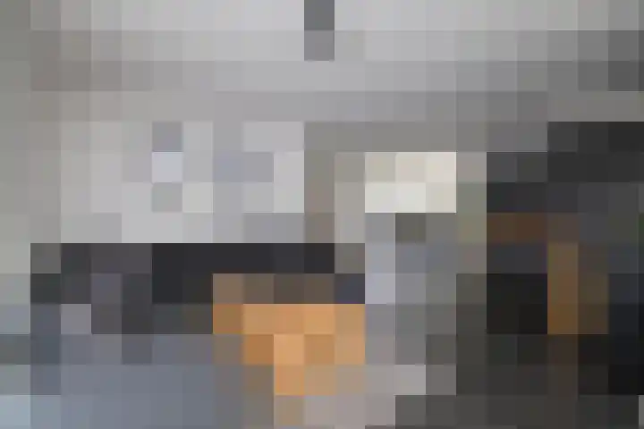 De Markol 7 Bolsward thumbnail 12