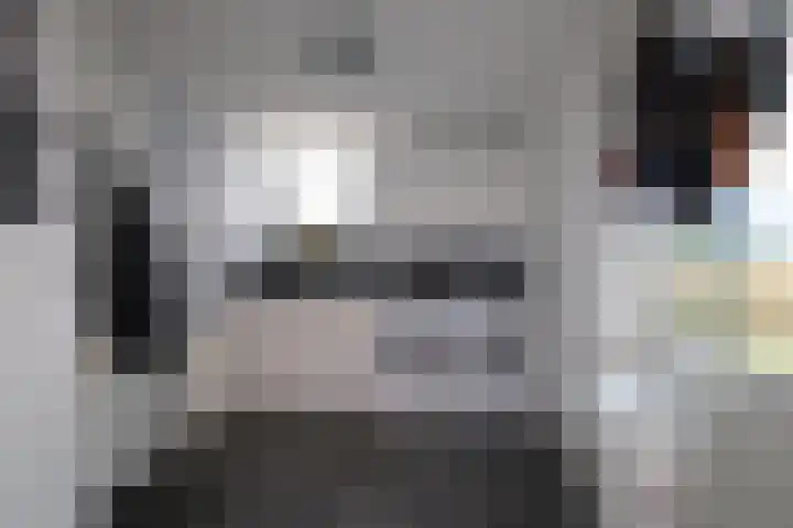 De Markol 7 Bolsward thumbnail 17