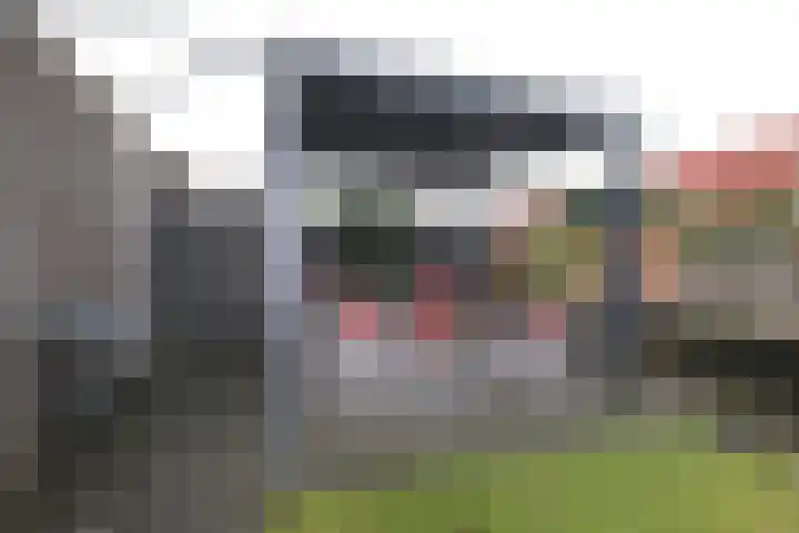 De Markol 7 Bolsward thumbnail 18