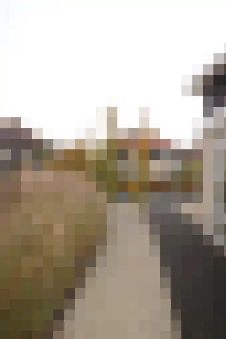 De Markol 7 Bolsward thumbnail 21