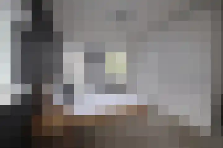 De Markol 7 Bolsward thumbnail 24