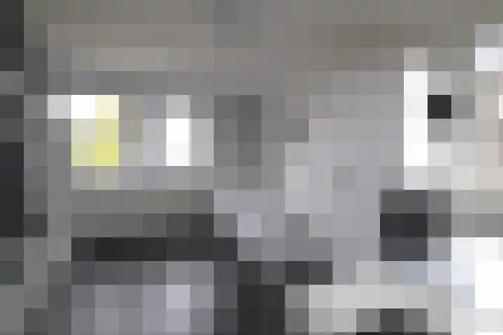 De Markol 7 Bolsward thumbnail 25