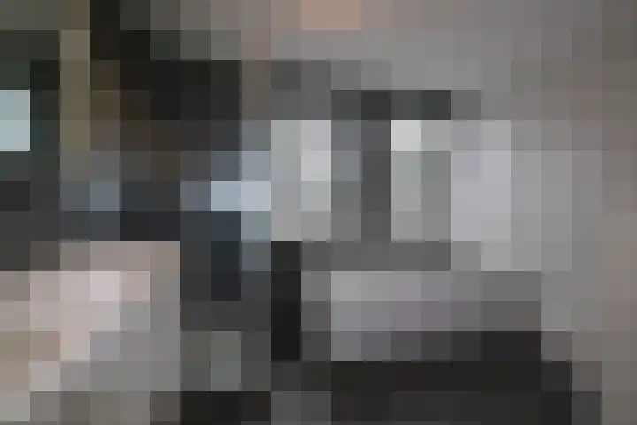 De Markol 7 Bolsward thumbnail 29