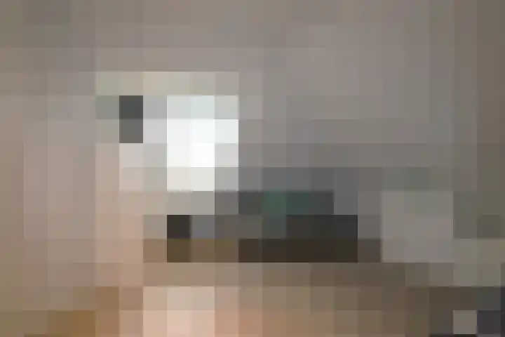 De Markol 7 Bolsward thumbnail 33