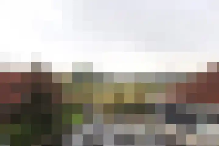 De Markol 7 Bolsward thumbnail 34