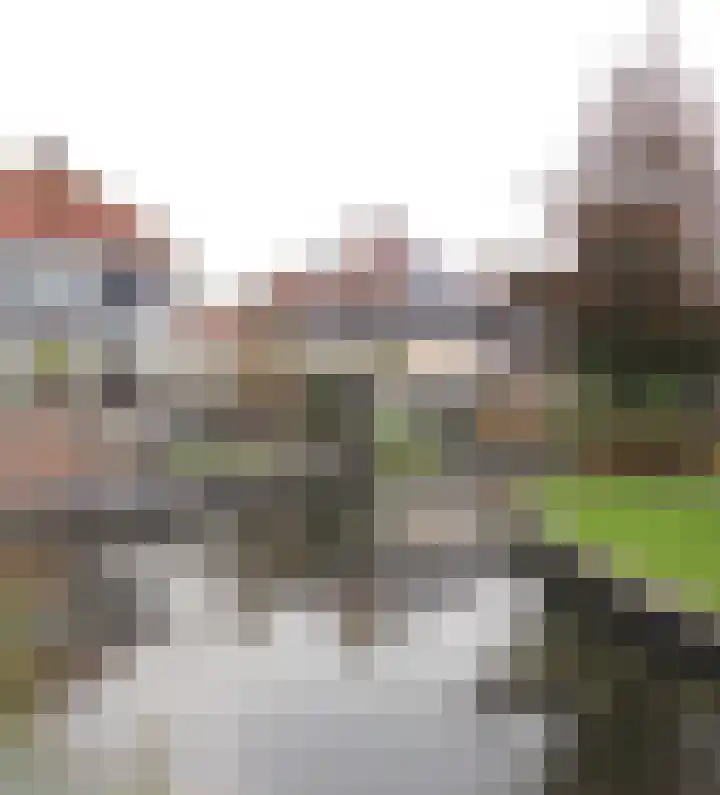 De Markol 7 Bolsward thumbnail 5