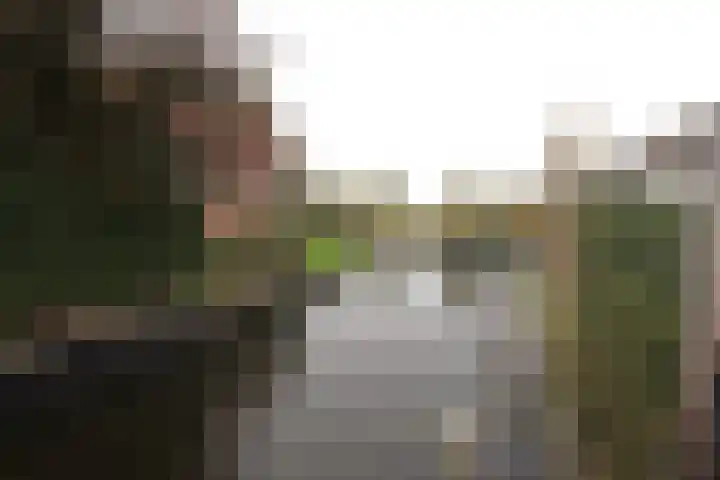 De Markol 7 Bolsward thumbnail 7
