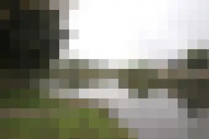 De Markol 7 Bolsward thumbnail 8