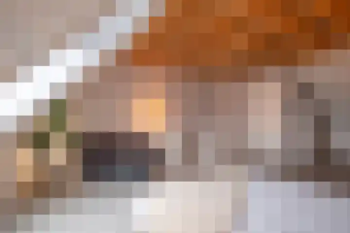 De Markol 9 Leeuwarden thumbnail 33