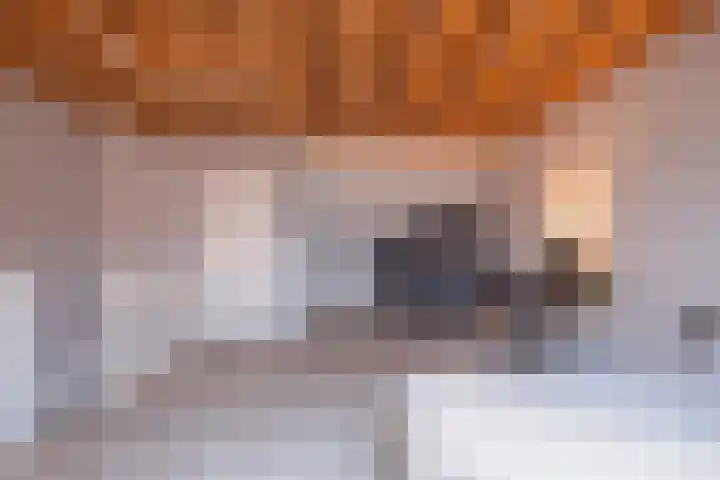 De Markol 9 Leeuwarden thumbnail 34