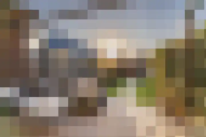 De Markol 9 Leeuwarden thumbnail 36
