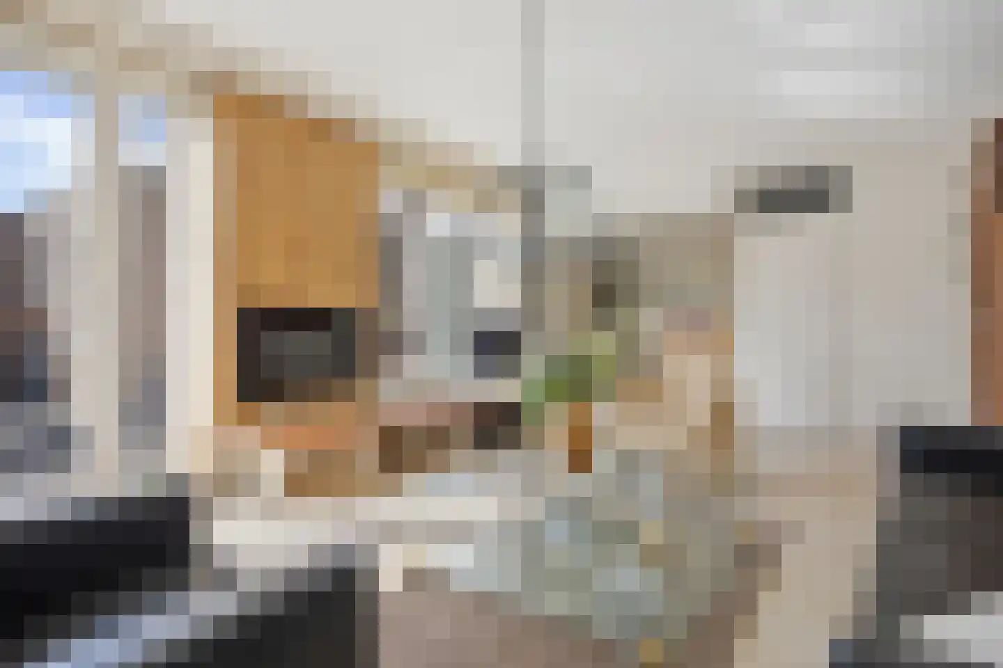 De Marne 8 Drunen thumbnail 10