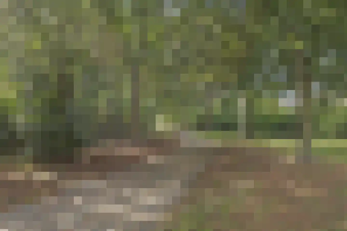 De Marne 8 Drunen thumbnail 40