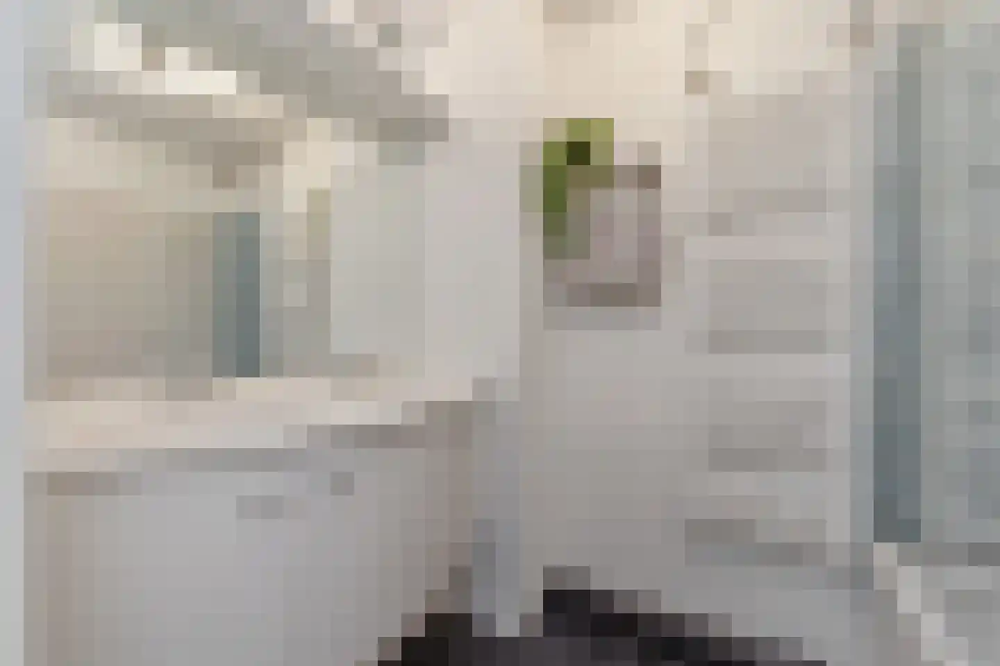 De Maroc 33 Wateringen thumbnail 18