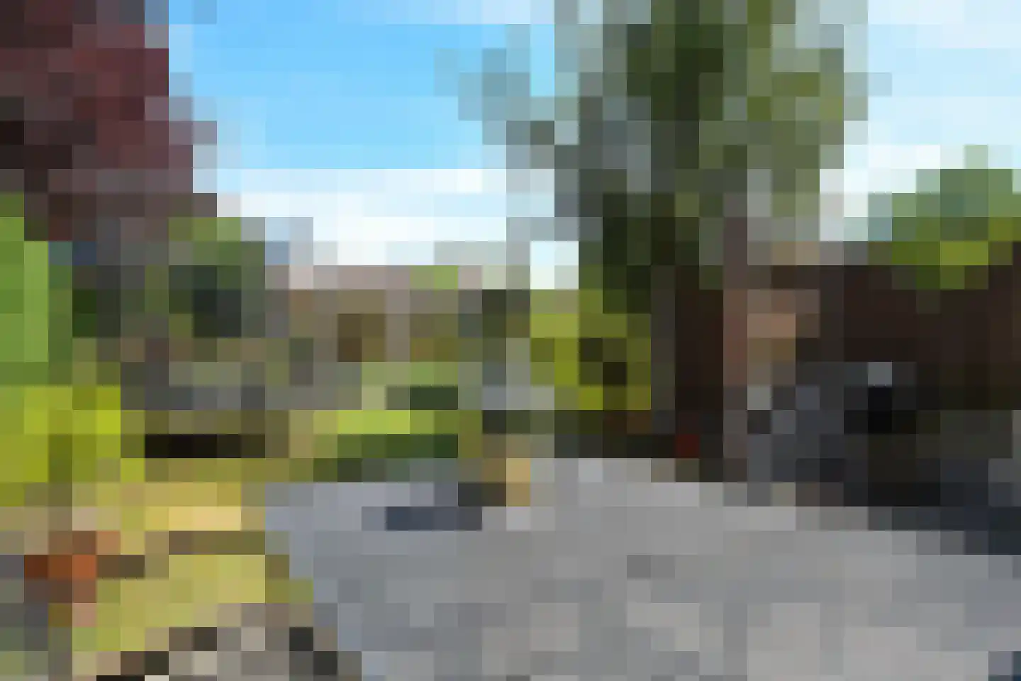 De Maroc 33 Wateringen thumbnail 22
