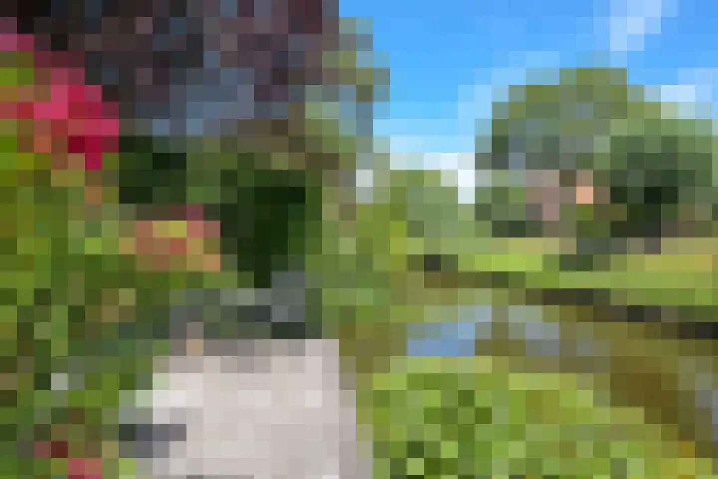 De Maroc 33 Wateringen thumbnail 27