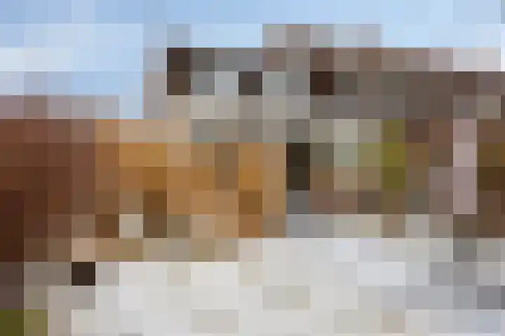 De Mars 10 Westervoort thumbnail 4