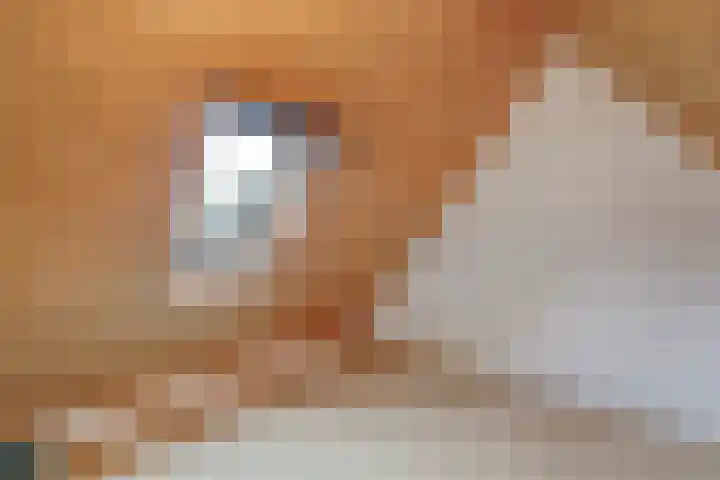 De Mars 11 B Zwolle thumbnail 35