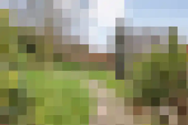 De Mars 11 B Zwolle thumbnail 36