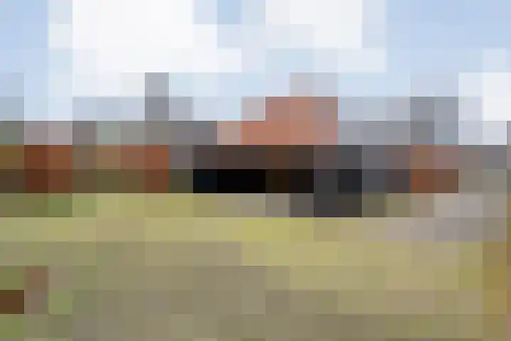 De Mars 11 B Zwolle thumbnail 39
