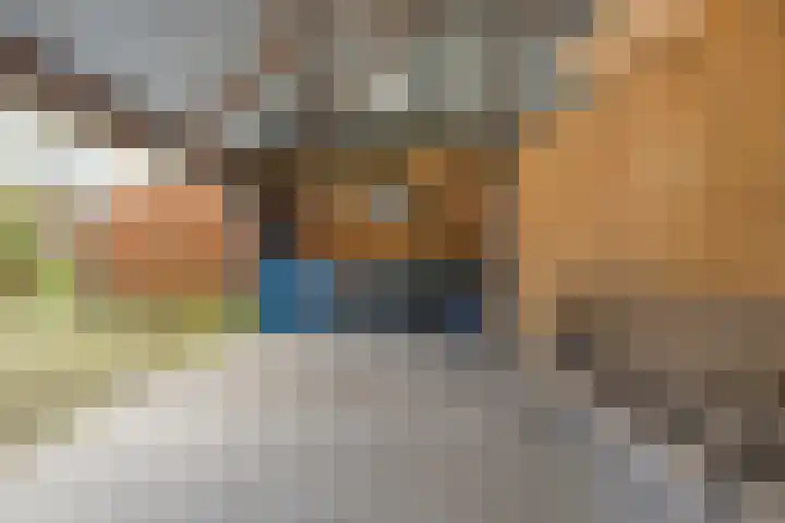 De Mars 11 B Zwolle thumbnail 41