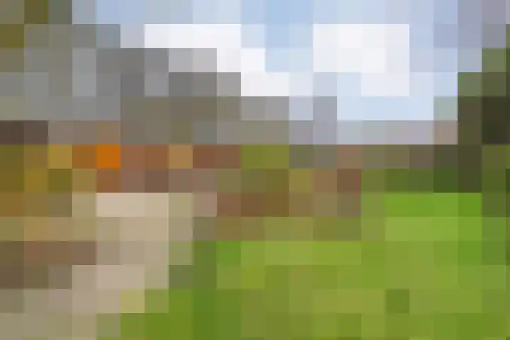 De Mars 11 B Zwolle thumbnail 5