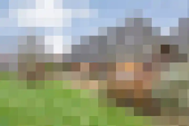 De Mars 11 B Zwolle thumbnail 6