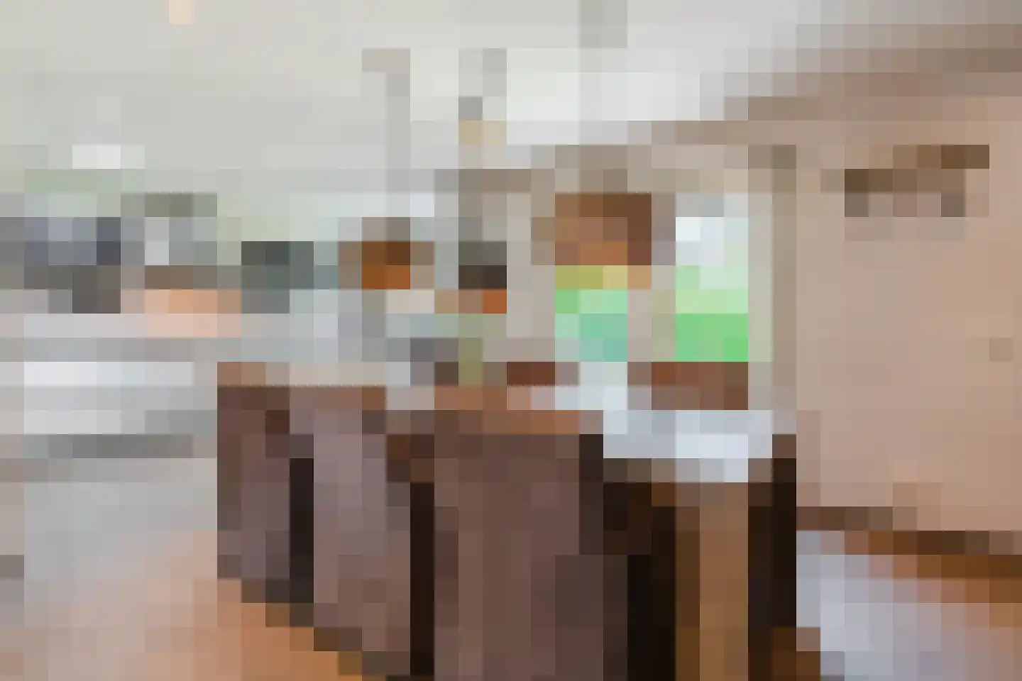 De Marsen 12 Zuidwolde thumbnail 16