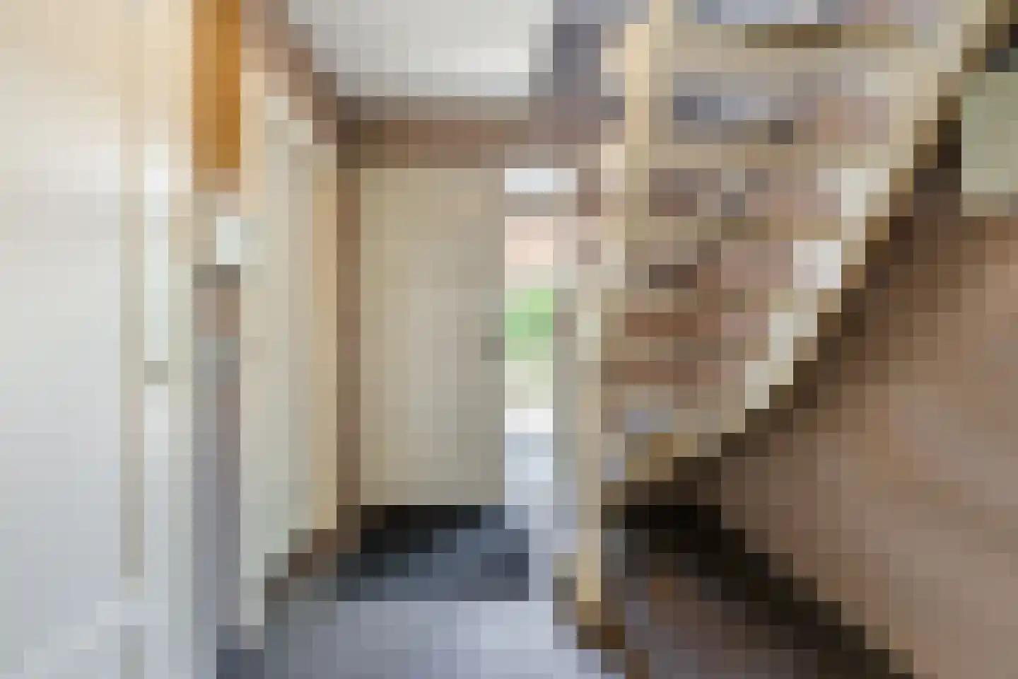 De Marsen 12 Zuidwolde thumbnail 25