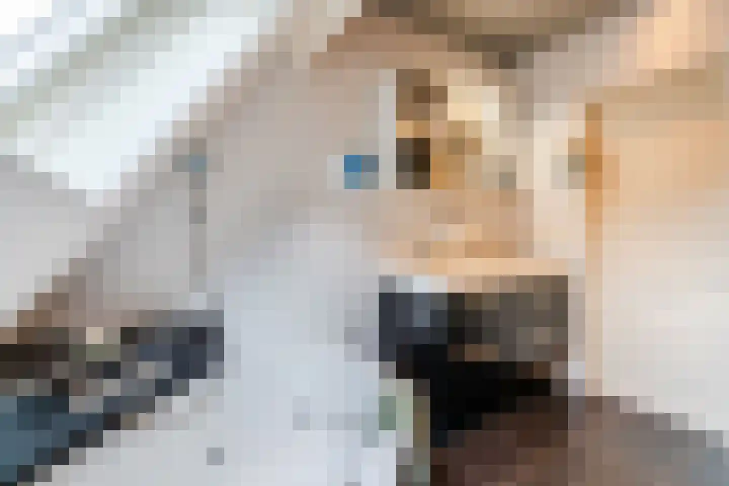 De Marsen 12 Zuidwolde thumbnail 43