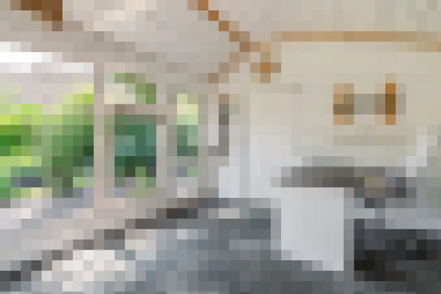 De Marsen 12 Zuidwolde thumbnail 48