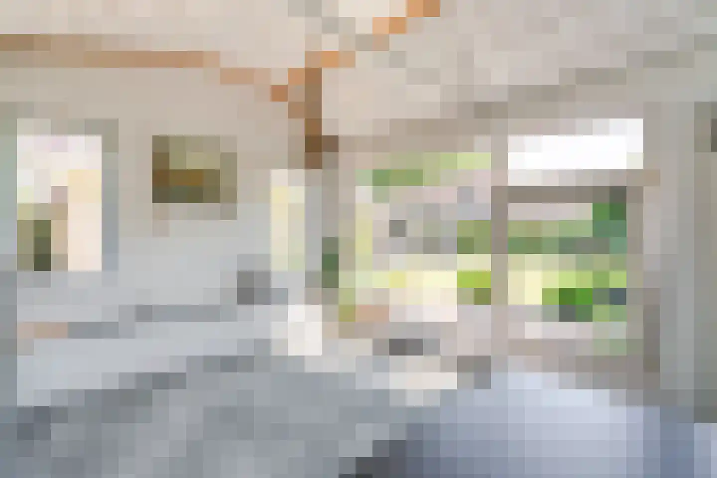 De Marsen 12 Zuidwolde thumbnail 49