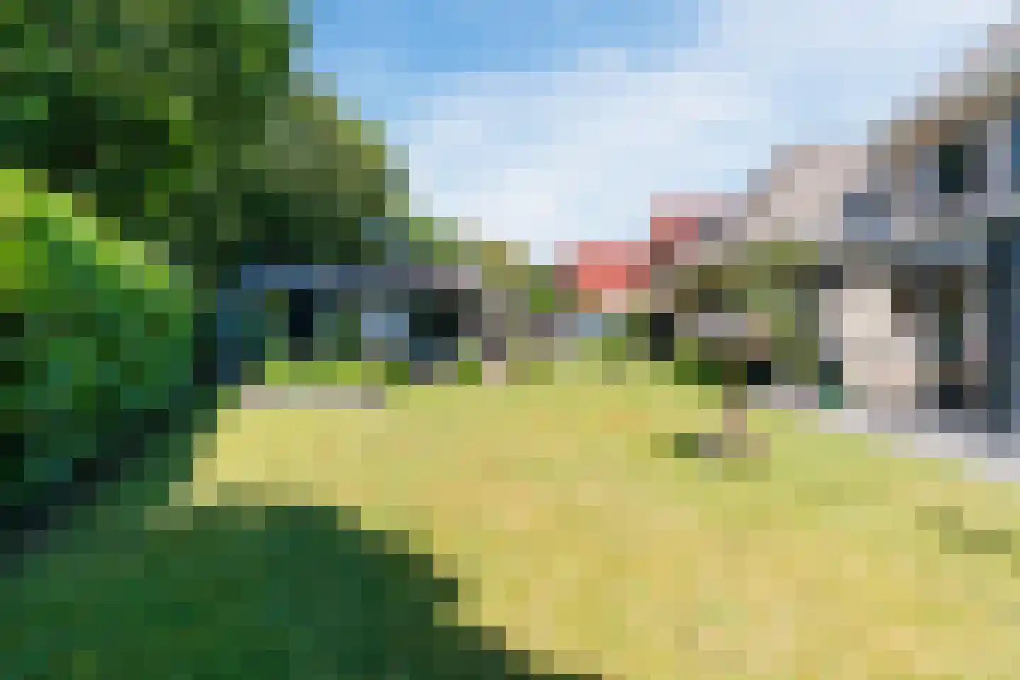 De Marsen 12 Zuidwolde thumbnail 53
