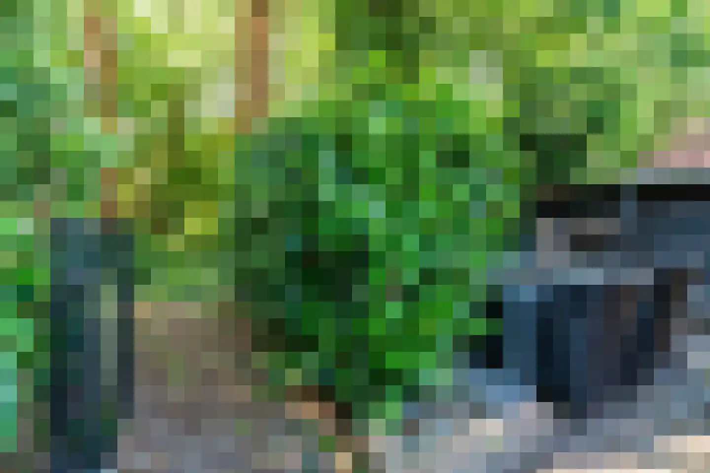 De Marsen 12 Zuidwolde thumbnail 58