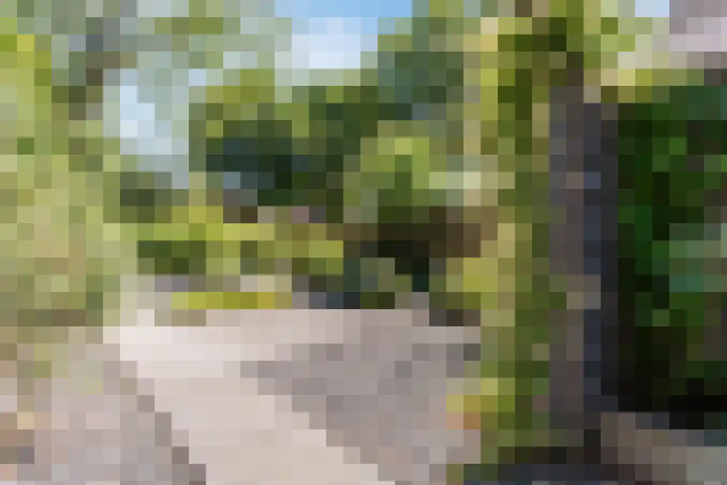 De Marsen 12 Zuidwolde thumbnail 59
