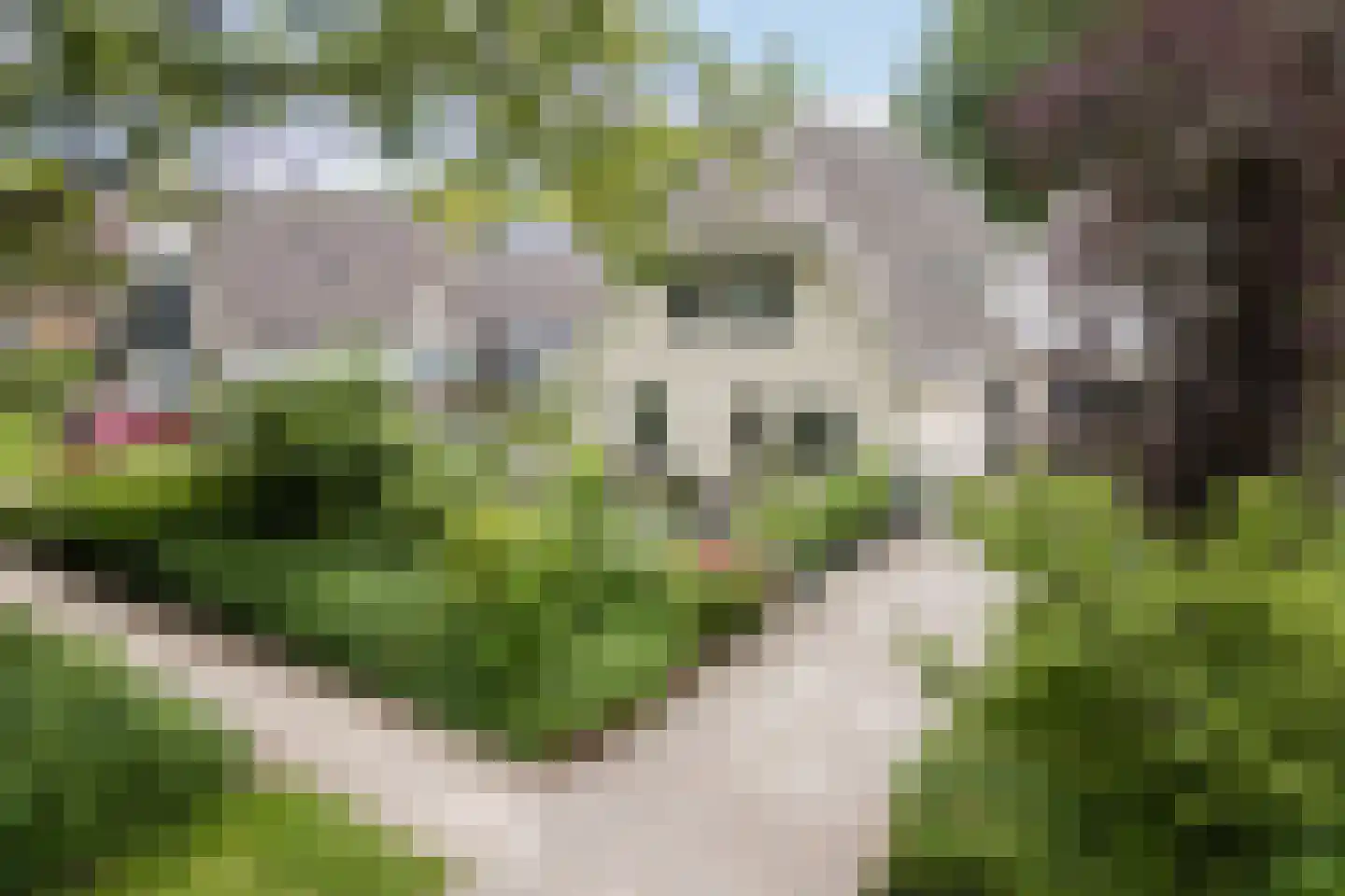 De Marsen 12 Zuidwolde thumbnail 6
