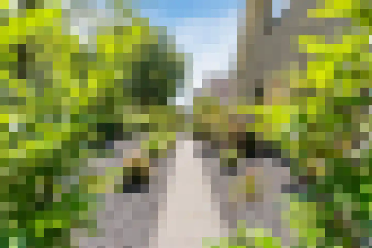 De Marsen 12 Zuidwolde thumbnail 61